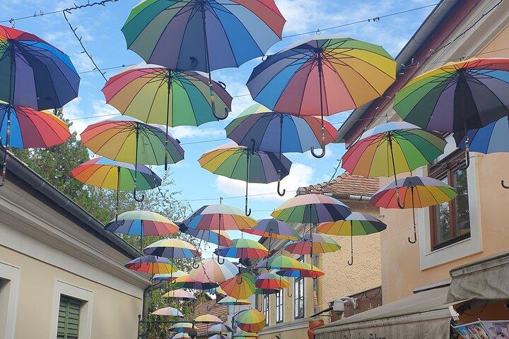 Budapest to Szentendre bike & boat tour