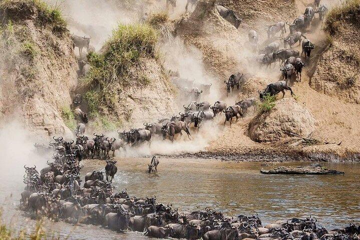 4 Days Mid Luxury Safari, Lake Nakuru and Masai Mara.