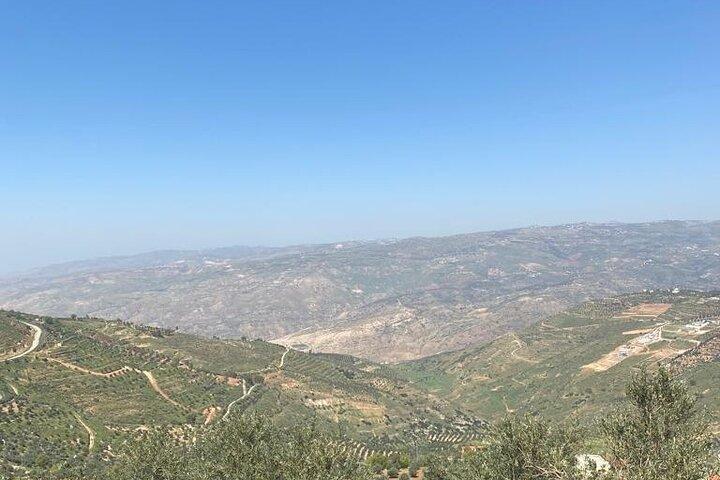 1 Day Tour to Amman Jerash and Ajloun castle