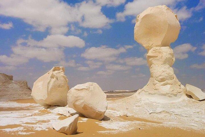 Private Tour to Visit Baharya Oasis Black and White Desert