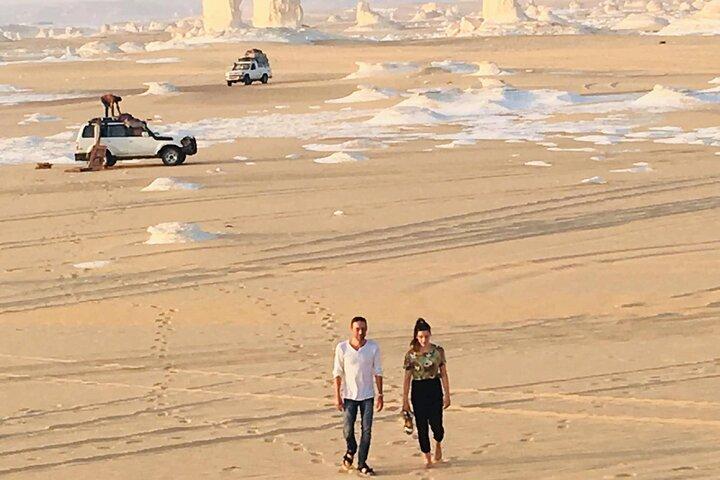 Private Tour to Visit Baharya Oasis Black and White Desert