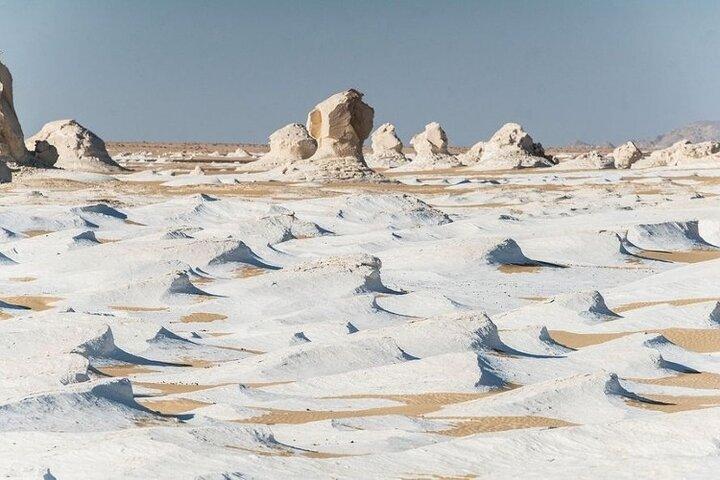 Private Tour to Visit Baharya Oasis Black and White Desert