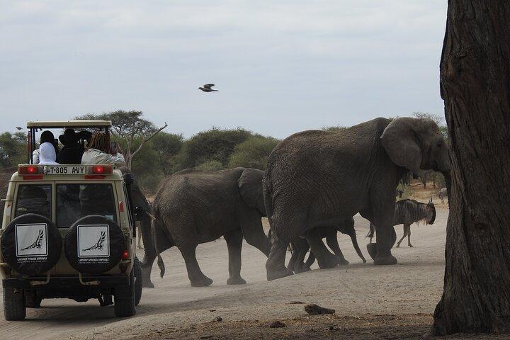 4-Day Mid-Range Safari (Night Game Drive in Tarangire)