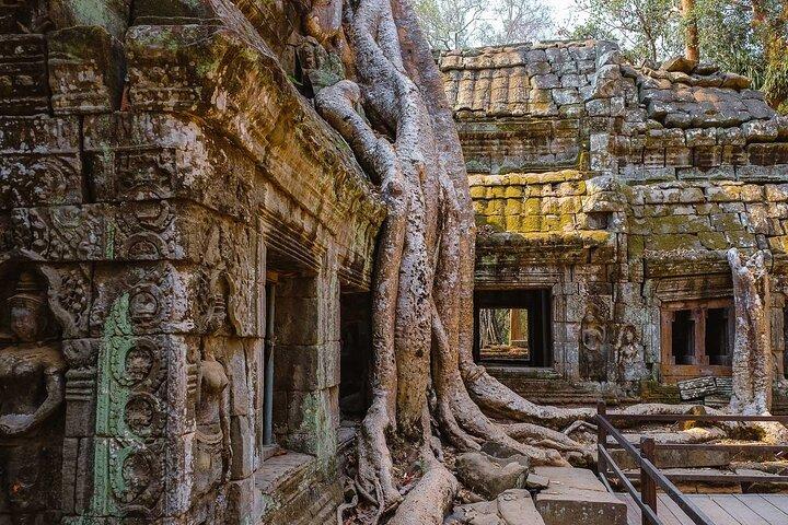 Full-Day Angkor Wat Sunrise Private Tour from Siem Reap