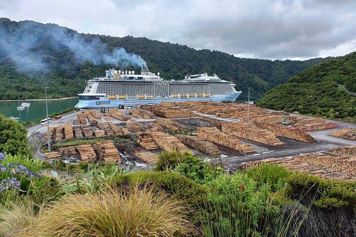 Picton Shore Excursion: Marlborough Wine Tour