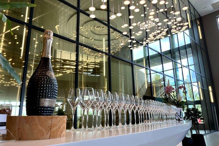 Paris: Champagne Day Trip with Tastings, Cathedral & Pickup
