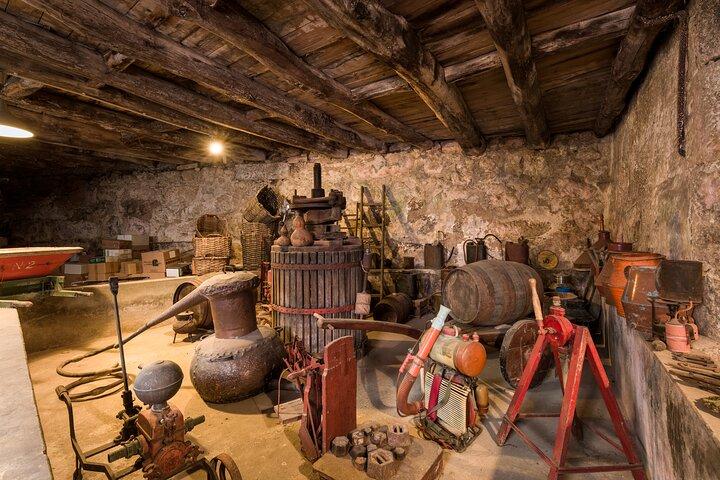 Douro & Vinho Verde: Family Wineries Private Tour in Portugal