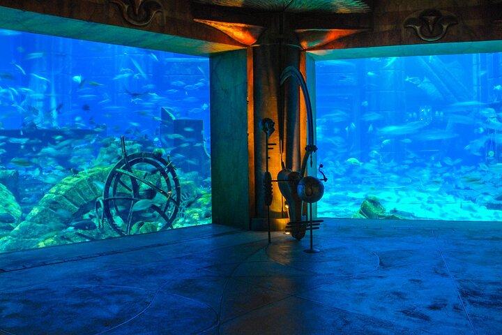 Lost Chamber Aquarium in Dubai