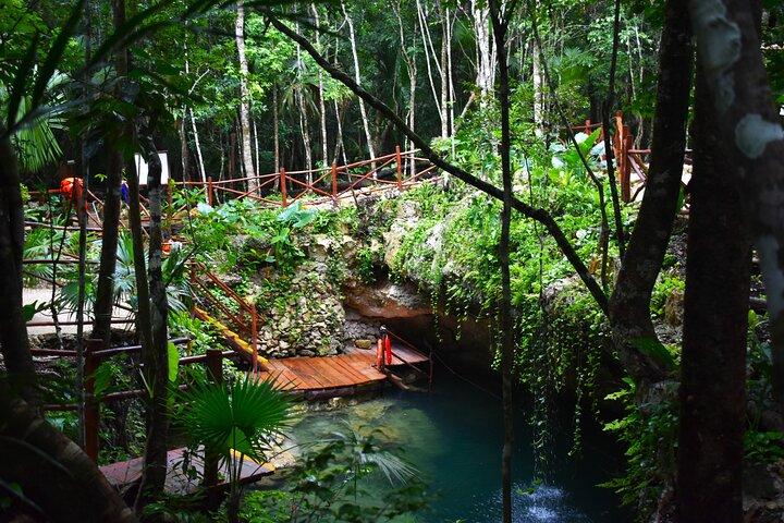 Discover 3 amazing cenotes. Includes transport & snack