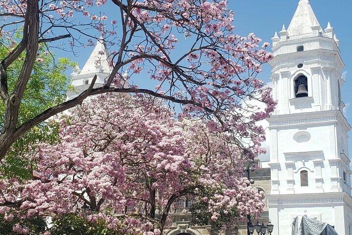 Panama Layover Tour: Canal and Casco Viejo