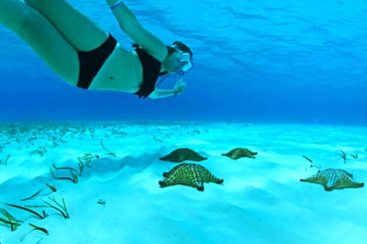 Cayman Adventure: Starfish Point, Stingray City and Coral Gardens