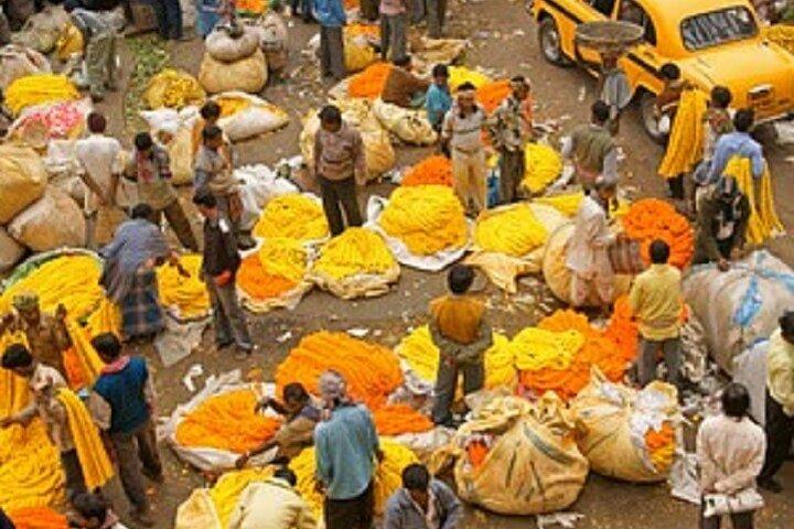 Half Day Tour to the Flower Market and Howrah Bridge in Kolkata
