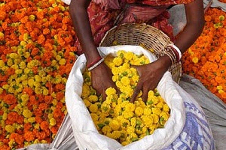Half Day Tour to the Flower Market and Howrah Bridge in Kolkata