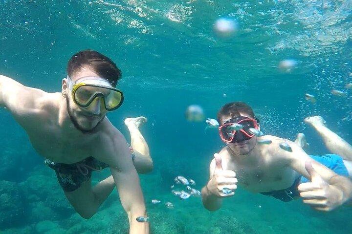 Dubrovnik:Private Boat Beach Tour Elaphiti Islands and Blue cave