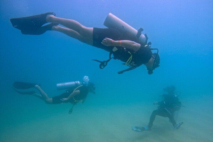 Los Cabos Beginner Scuba Dive Experience