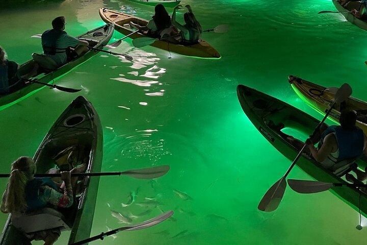 Sharkey's Glass Bottom Fish Feeding LED Night Tour in Clearwater