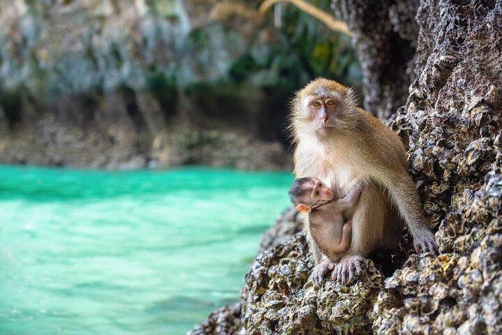 Phuket: Wow Andaman Snorkeling Trip to Phi Phi & Bamboo Islands
