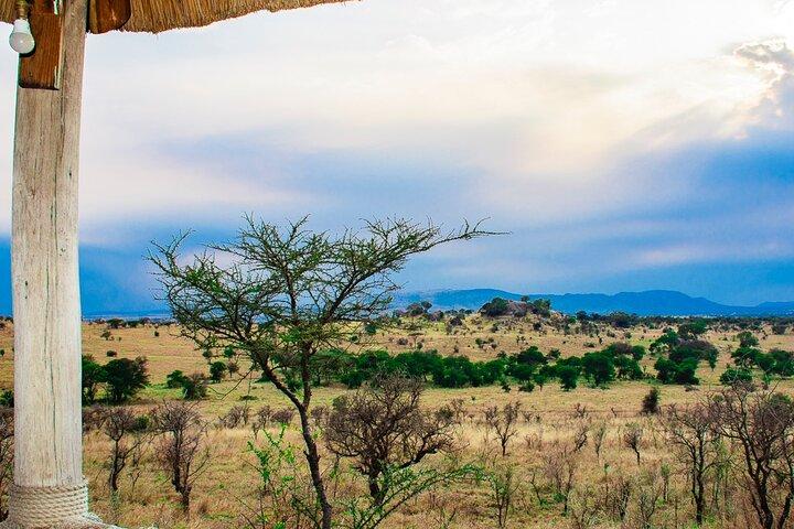 7 Days Simba Luxury Adventure Safari with Transfer