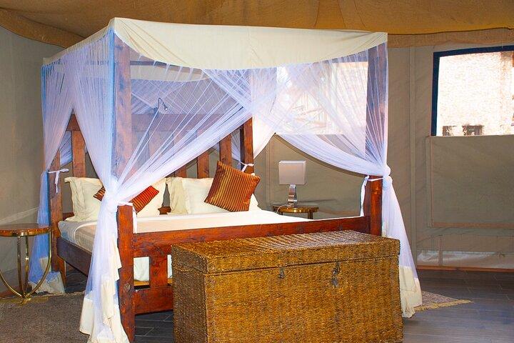 7 Days Simba Luxury Adventure Safari with Transfer