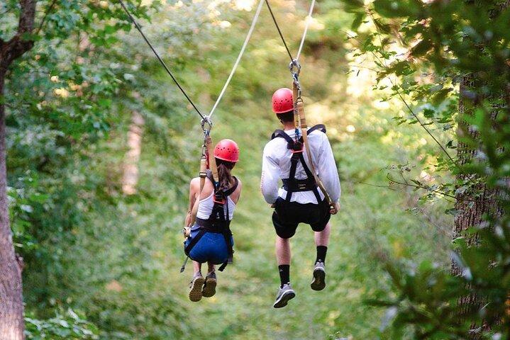 Day Trip to Kereita Forest and Ziplining