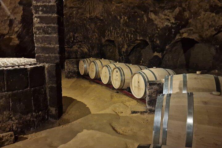 Wine Tasting in Montepulciano Tuscany Private Tour from Rome