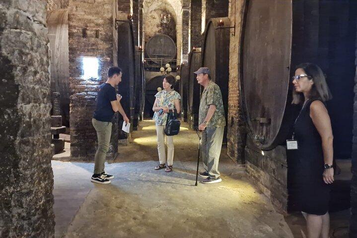 Wine Tasting in Montepulciano Tuscany Private Tour from Rome