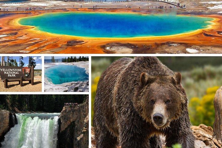 Private Upper Loop Tour of Yellowstone National Park