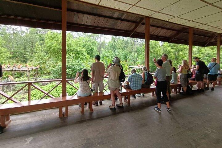 Full-Day Sepilok Orangutan and Sandakan City Trail from Kota Kinabalu