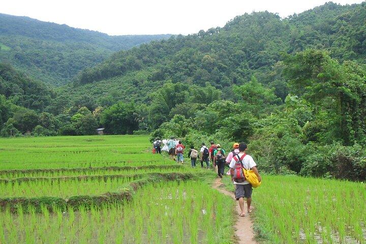 Trek to Tad Sae Waterfalls, Local Village