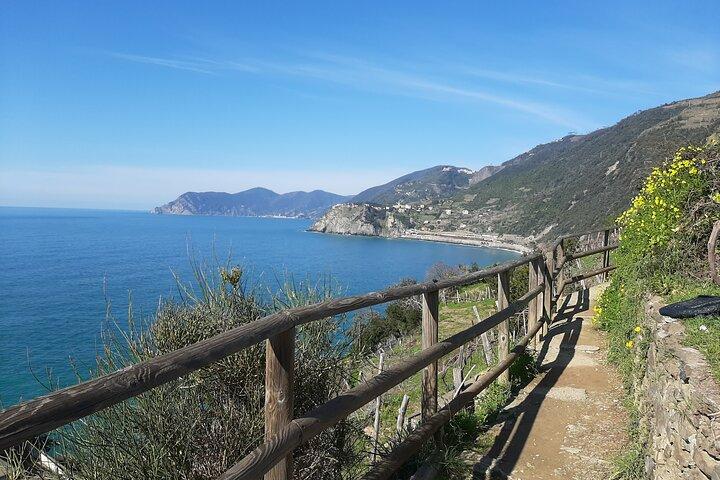 Uniquely classic Cinque Terre