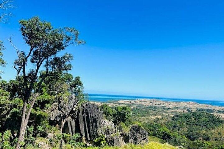 Treetops Fiji Zipline Tour with Drop off Transfer to Nadi Airport