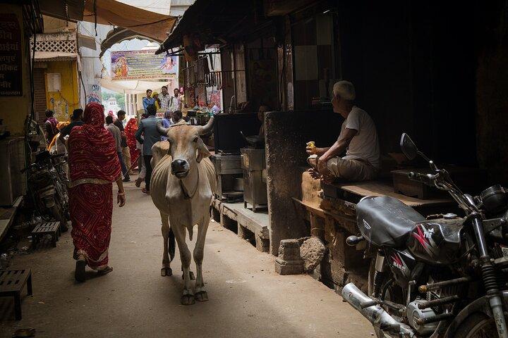 The Ultimate 3 Days in Varanasi - How to Spend 39 Hours - For First Timers