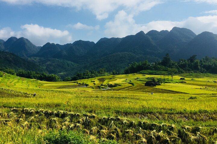 Pu Luong Experience 3 Days Tour: Waterfall, Cave & Trek