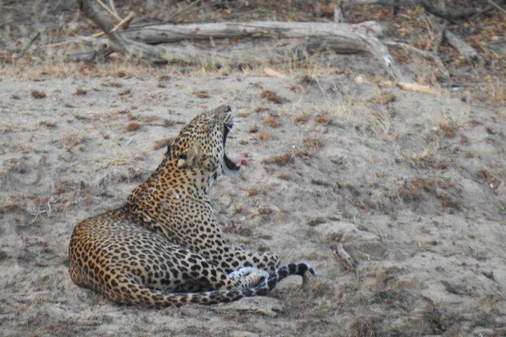 Evening Safari - Yala National Park with Janaka safari - 02.00 pm to 06.30 pm