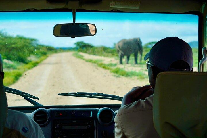 5-Day Mid-Range Safari in Tanzania