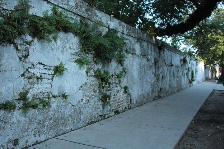 Historic Garden District Walking Tour