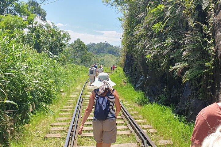 Ella and Yala National park Tour