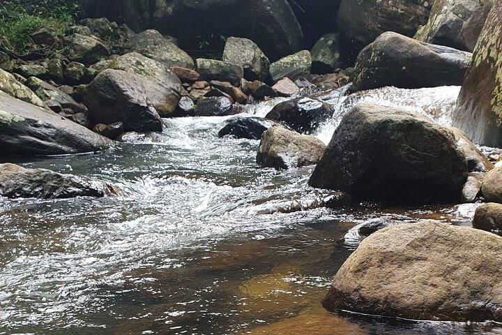 Ella and Yala National park Tour