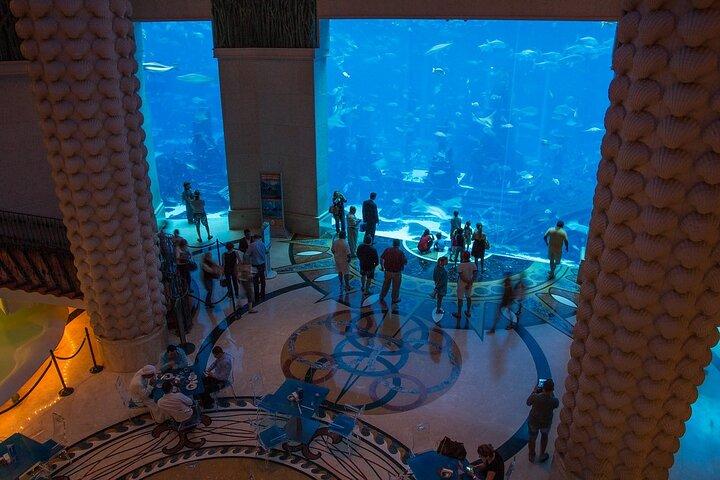 Admission to Lost Chamber Aquarium