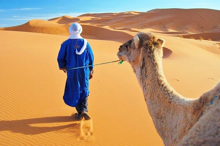 Private 4 Days Desert Tour from Marrakech to Fes