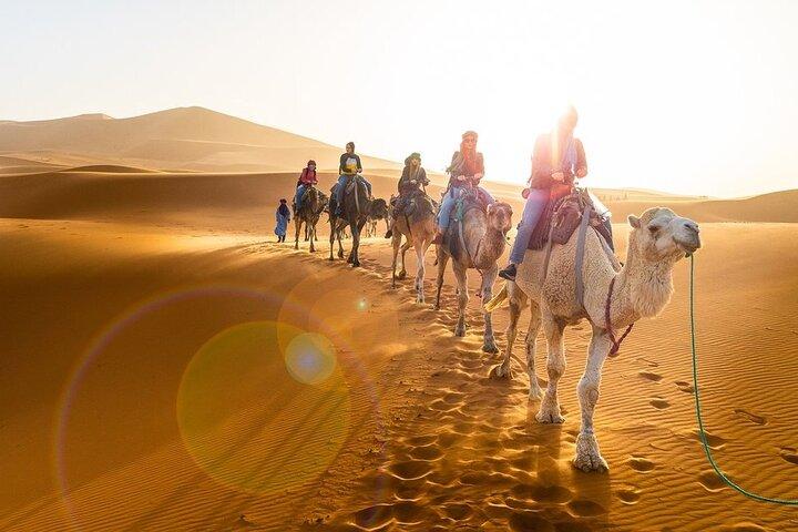 Private 4 Days Desert Tour from Marrakech to Fes