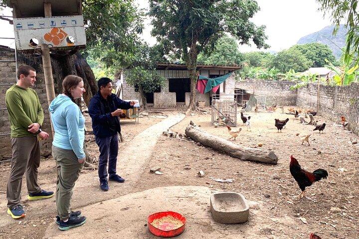 Ninh Binh Full-day Small Group of 09 Visit Local Famer's House