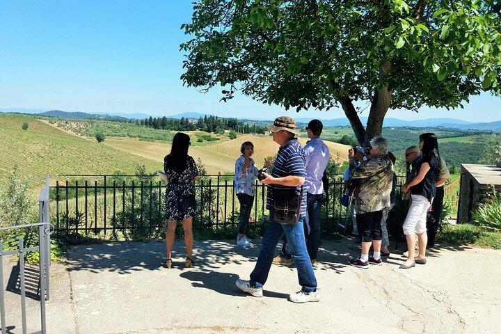 Private Tour in San Gimignano and Chianti Day Trip from Florence