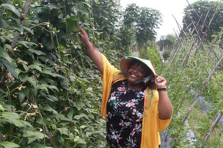Exploring organic farm & Vietnamese Culinary with Master chef