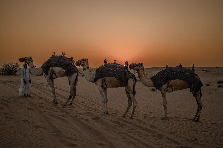 Combo:Private Desert Safari + dinner & ATV Self-drive/Quad Bike
