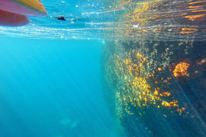 Kayak and Snorkeling Excursion in Maro Cerro Gordo Cliffs