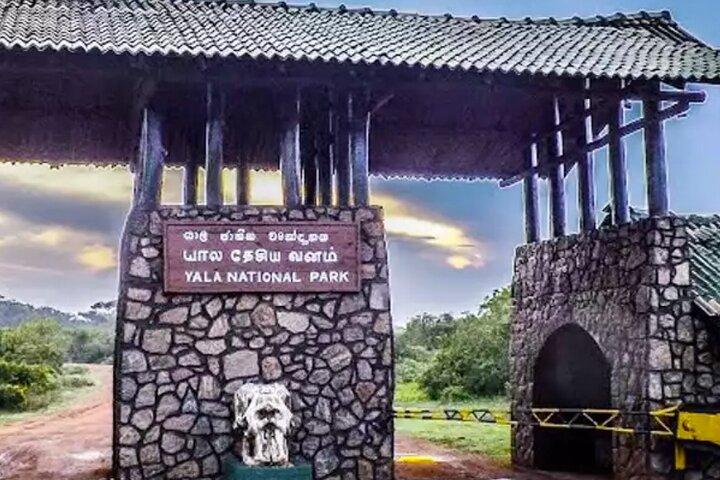 Yala National Park Private Jeep Safari From Colombo & Negombo