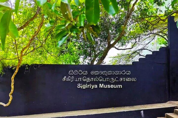 Day Trip to Minneriya National Park and Sigiriya From Pasikuda