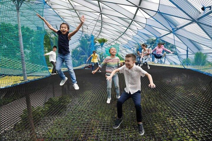 Jewel Changi Airport: Bouncing Net + Canopy Park