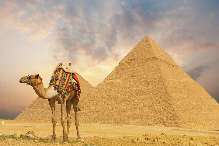 Private Half Day Trip Visit Giza Pyramids &Sphinx with Camel Ride